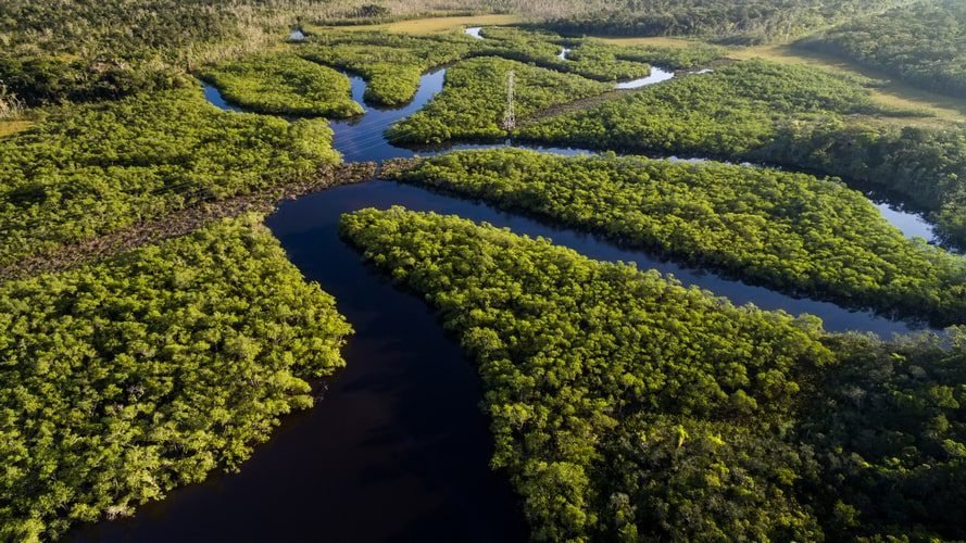 Amazon Clipper - Cruzeiro pelo Rio Negro - Pacote Turístico - Turvicam