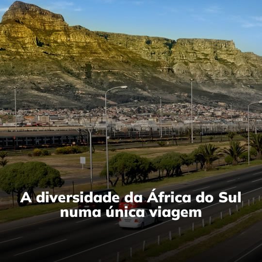 África do Sul com Safari - Pacote Turístico - Turvicam África do Sul com Safari - Pacote Turístico - Turvicam