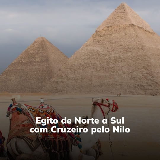 Egito Exclusivo (setembro/2022) - Pacote Turístico - Turvicam Egito Exclusivo (setembro/2022) - Pacote Turístico - Turvicam