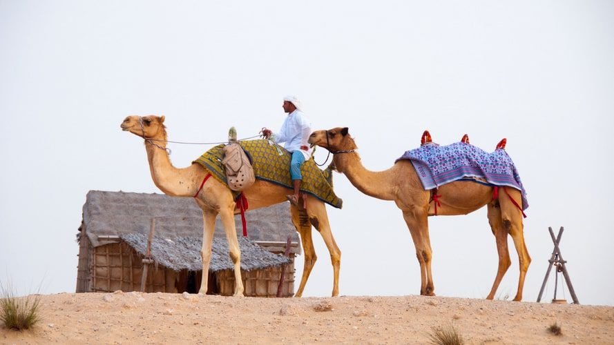 Belém - Dubai (Emirados Árabes) - Passagens - Turvicam