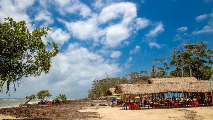 Belém, Ilha do Marajó e Alter do Chão - Passeio Regional - Turvicam Belém, Ilha do Marajó e Alter do Chão - Passeio Regional - Turvicam