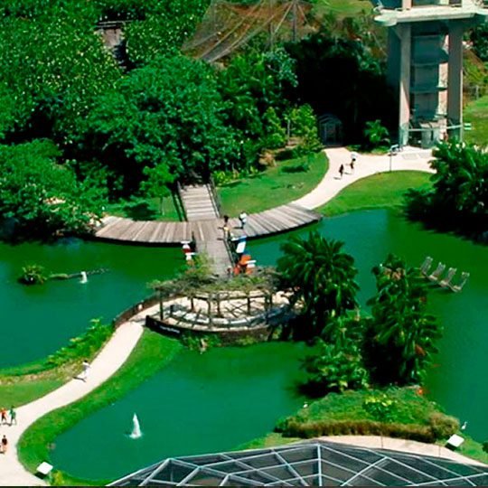 passeio parques ecológicos-mobile2 Passeios ecológicos