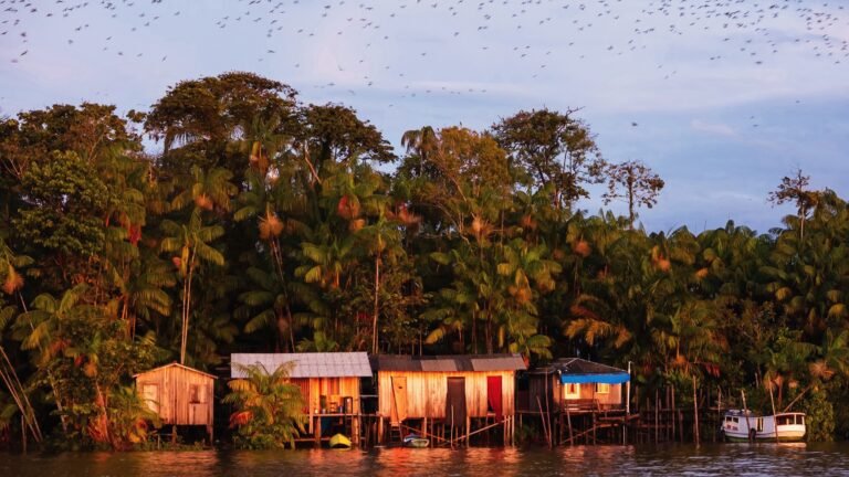 Ilha dos Papagaios, Furos & Igarapés