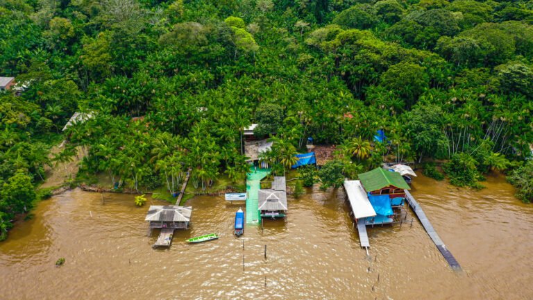 Ilha do Combu