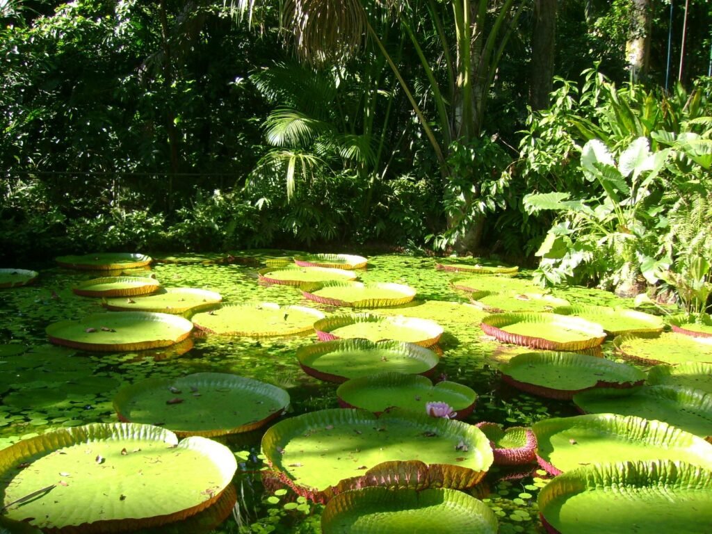 Parques Ecológicos