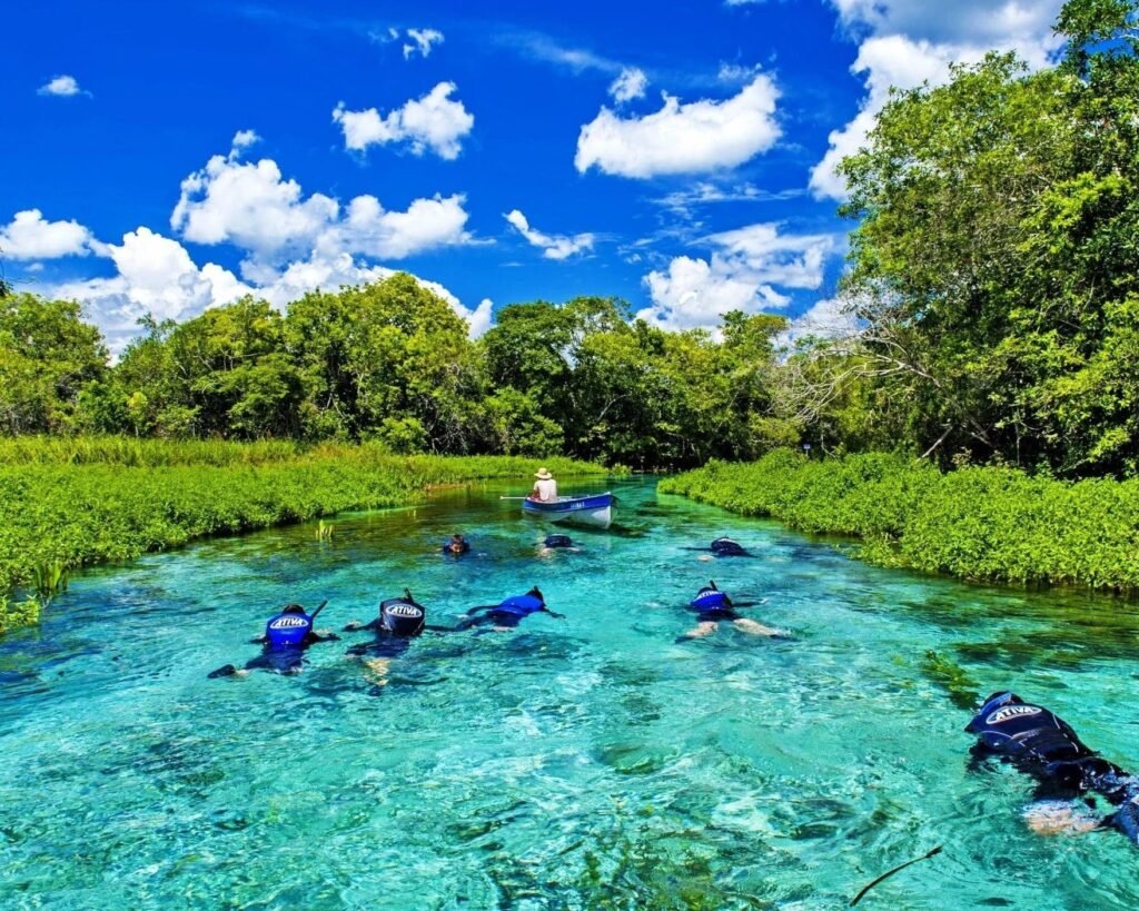 Bonito e Pantanal